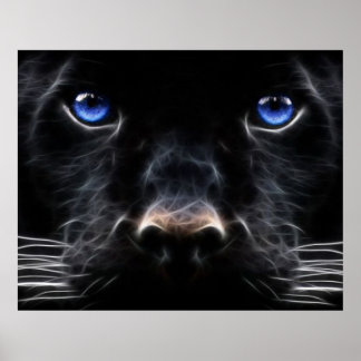 Poster de Gato de Olhos Azuis Místicos