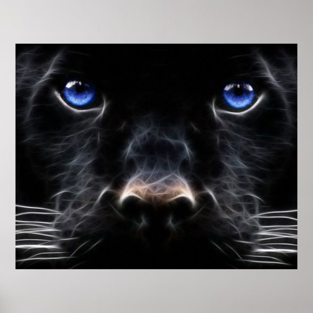 Poster de Gato de Olhos Azuis Místicos (Frente)