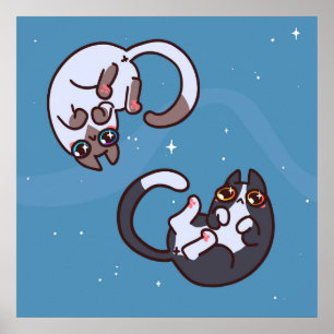 Poster de Gato de Pop