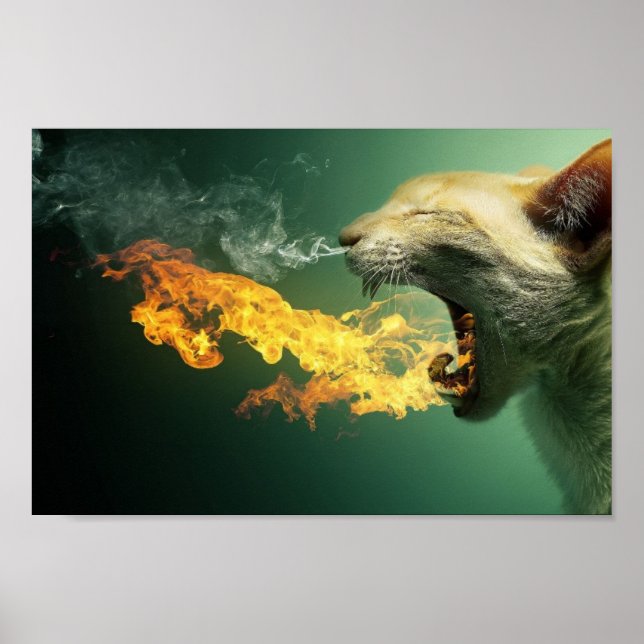 Poster de Gato de Quebra-Fogo (Frente)