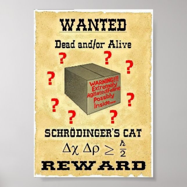 Poster de Gato de Schrodinger (Frente)