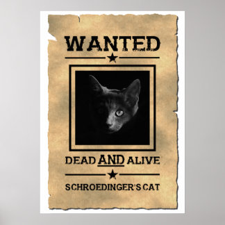 Poster de Gato de Schroedinger | Piada física
