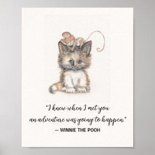 Poster de gato e rato