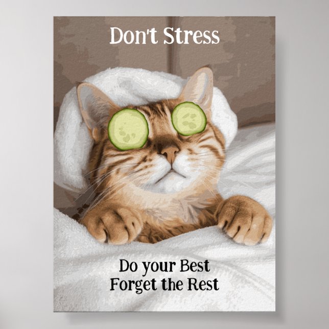 Poster de Gato Inspirador Engraçado Motivacional (Frente)