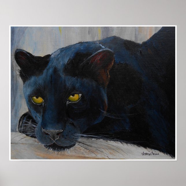 Poster de Gato Negro (Frente)