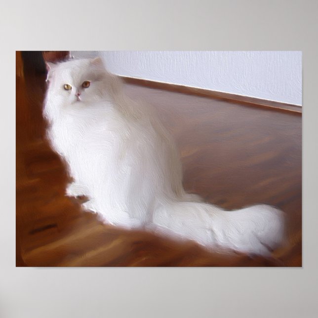 Poster de gato persa branco (Frente)