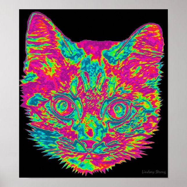 Poster de Gato Psicodélico (Frente)