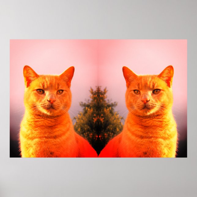 Poster de gatos gêmeos Merlin e anjo (Frente)