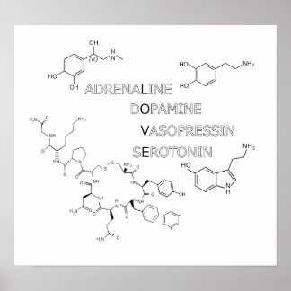 Poster de Geek de Amor com Estrutura Química