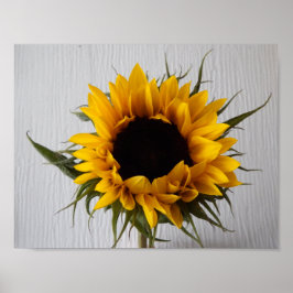Poster de girassol