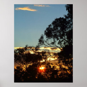poster de girassol-do-sol