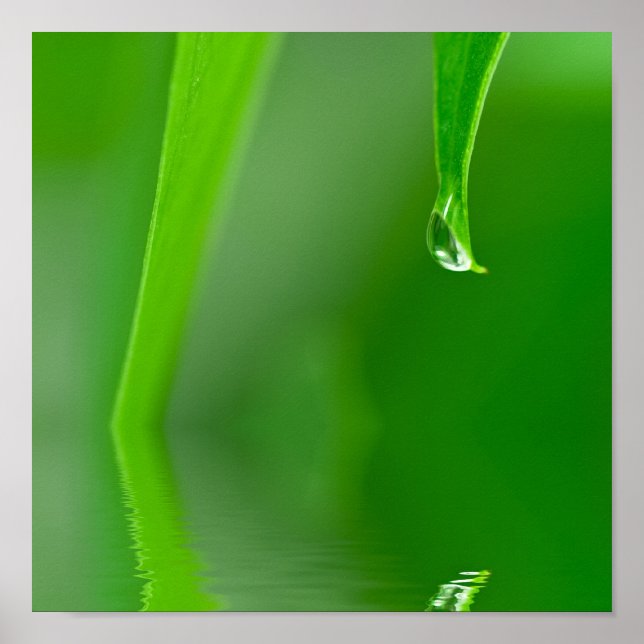 Poster de gotas de água (Frente)