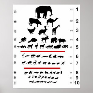 Poster de Gráfico de Olhos Animais