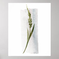 Poster de Grass da Floresta de Aquarela
