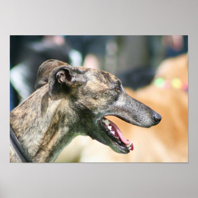 Poster de Greyhound (Frente)