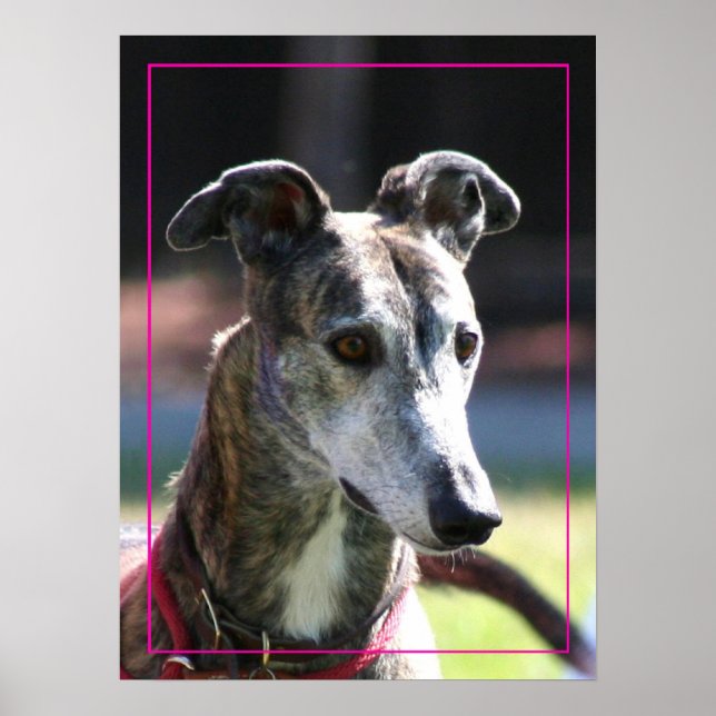 Poster de Greyhound (Frente)