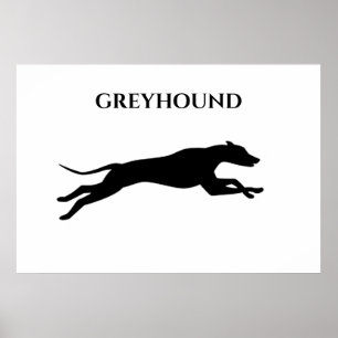 Poster de Greyhound.