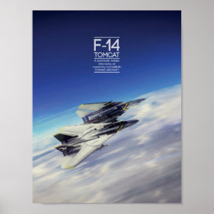 Poster de Grumman F-14 Tomcat