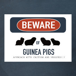 Poster de Guisado