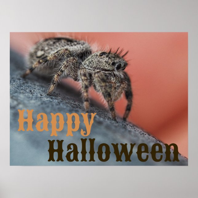Poster de Halloween de Spider Spooky (Frente)