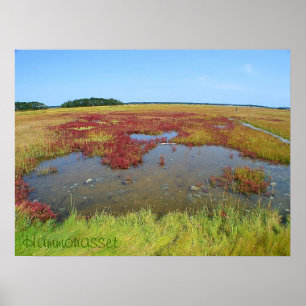 Poster de Hammonasset