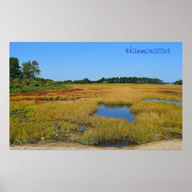 Poster de Hammonasset (Frente)