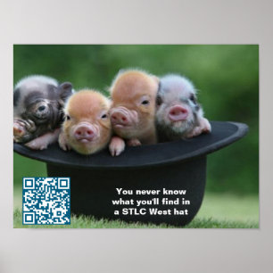 POSTER de Hat Oeste do STLC