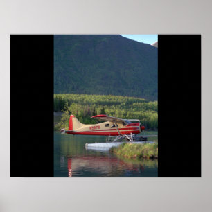 Pôster De Havilland, castor, aviação 1951_Classic
