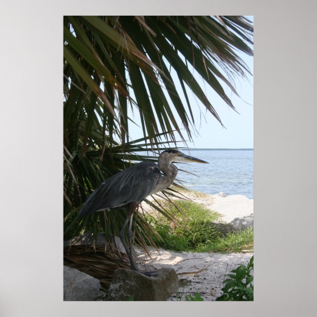 Poster de Herão Azul (Frente)