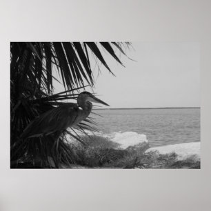 Poster de Herão Azul