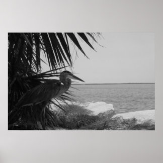 Poster de Herão Azul