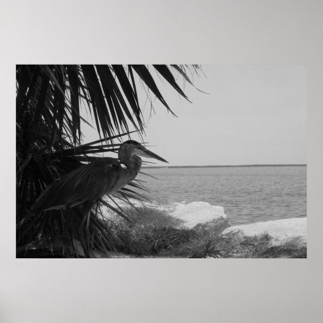 Poster de Herão Azul (Frente)