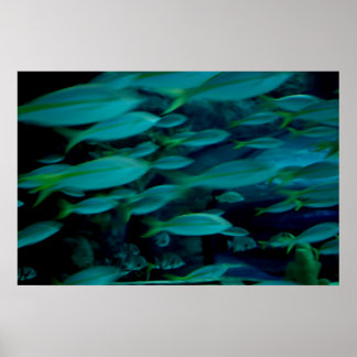 poster de "Hora de Corrida"