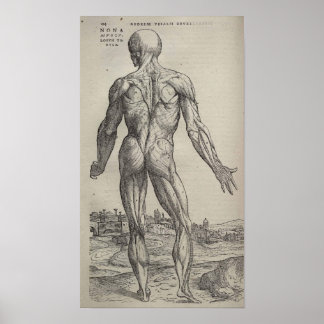 Poster De Humani Corporis