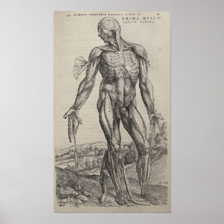 Poster De Humani Corporis