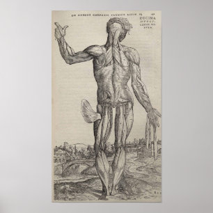 Pôster De Humani Corporis