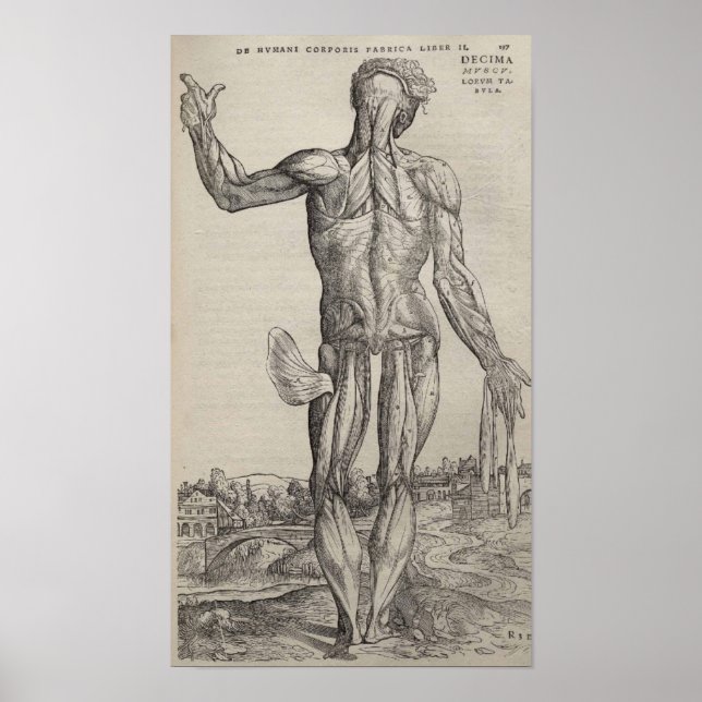 Pôster De Humani Corporis (Frente)