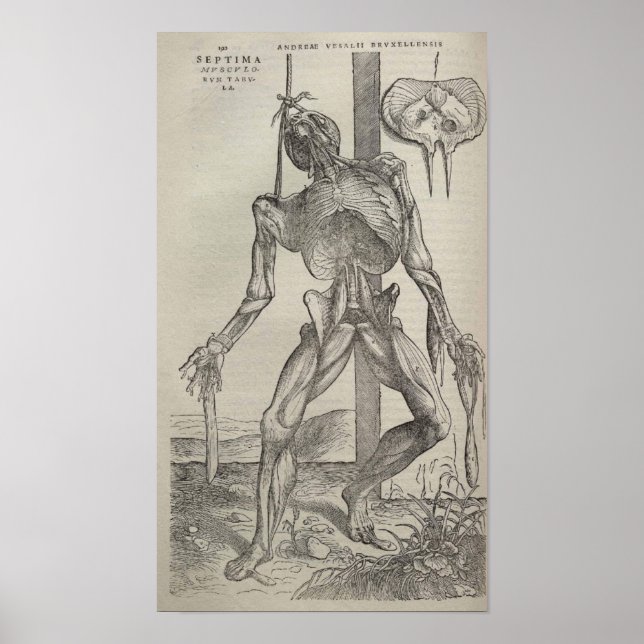 Pôster De Humani Corporis (Frente)