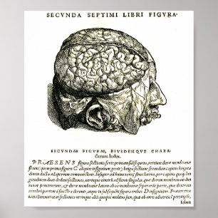 Pôster De Humani Corporis