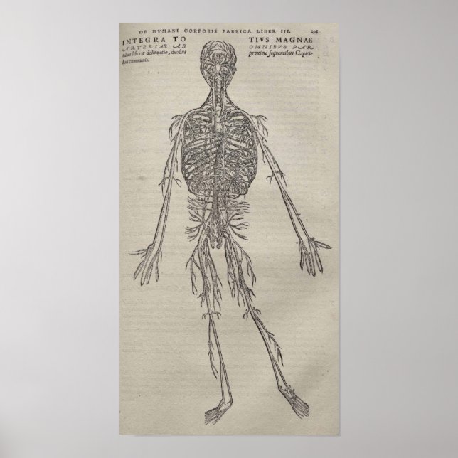 Poster De Humani Corporis (Frente)
