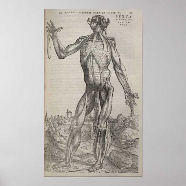 Pôster De Humani Corporis (Frente)