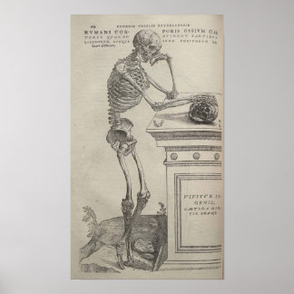 Pôster De Humani Corporis