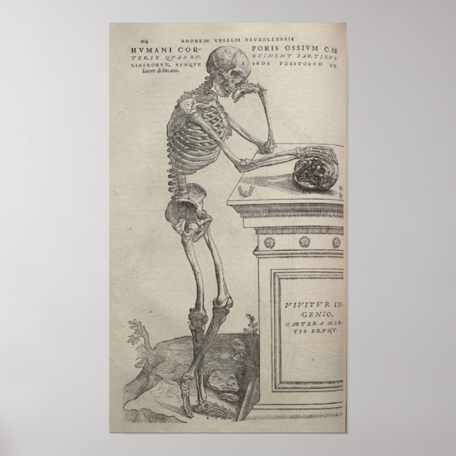 Pôster De Humani Corporis (Frente)