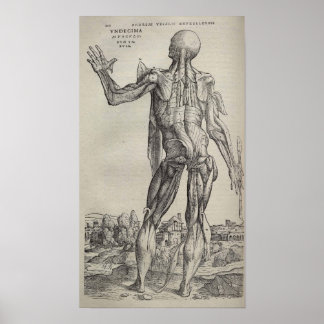 Poster De Humani Corporis
