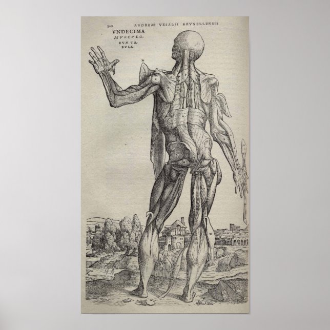 Poster De Humani Corporis (Frente)