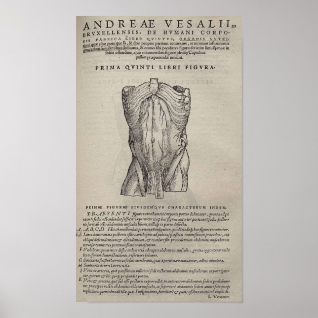 Pôster De Humani Corporis (Frente)