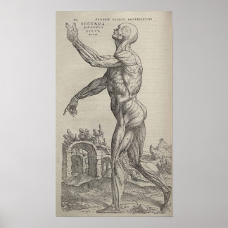 Pôster De Humani Corporis