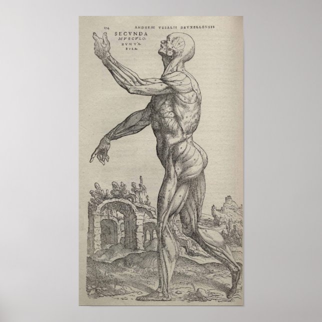 Pôster De Humani Corporis (Frente)