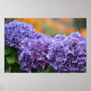 Poster de Hydrangea impressionista