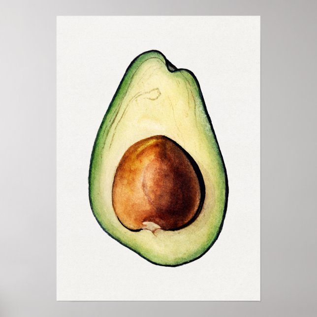 Poster de Ilustração Botânica (Frente)